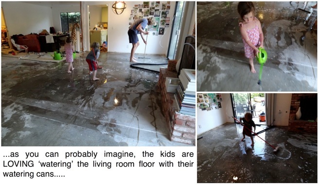 Tackling the Floor! (and....The Skunks Come Out at Night)